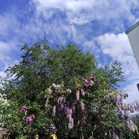 Maison Douce Et Atypique Avec Son Jardin A 度假居